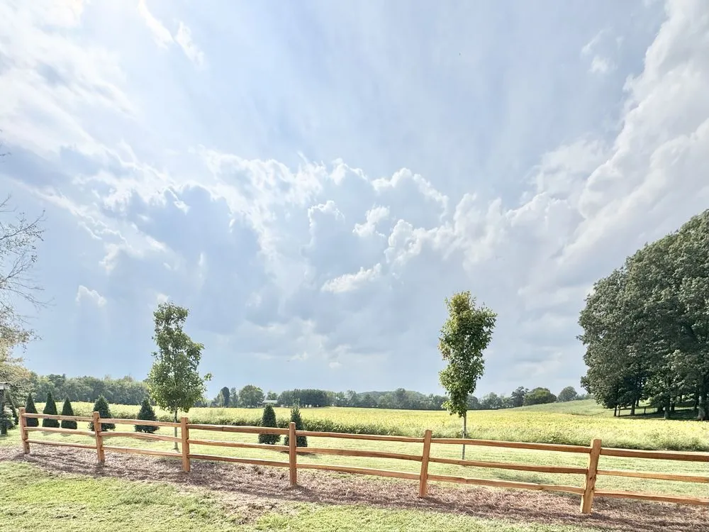 Custom yard cleanup service with custom design in Tullahoma, TN by Adams Landscape Solutions