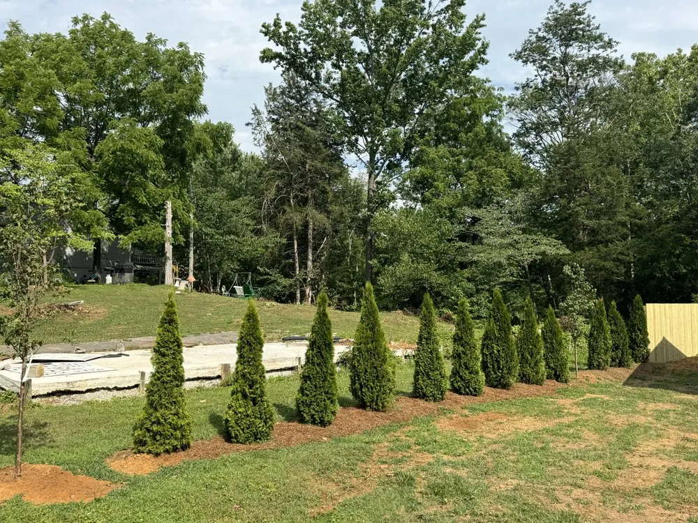 Trusted landscaping services in Tullahoma, TN by Adams Landscape Solutions