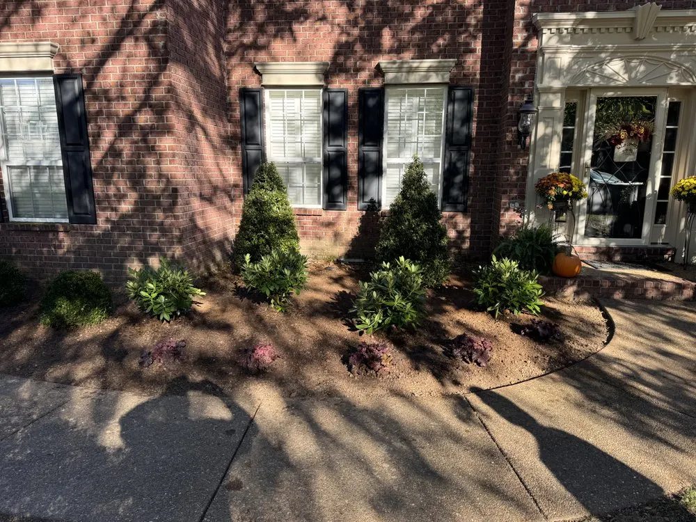 Professional yard cleanup service in Tullahoma, TN - Adams Landscape Solutions