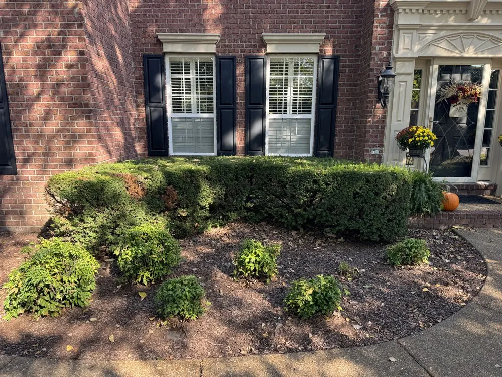Affordable yard maintenance for homes in Tullahoma, TN by Adams Landscape Solutions