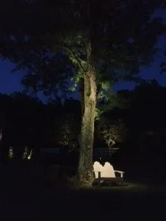 Top-rated landscape installation in Shrewsbury, MA - Adams Landscapes