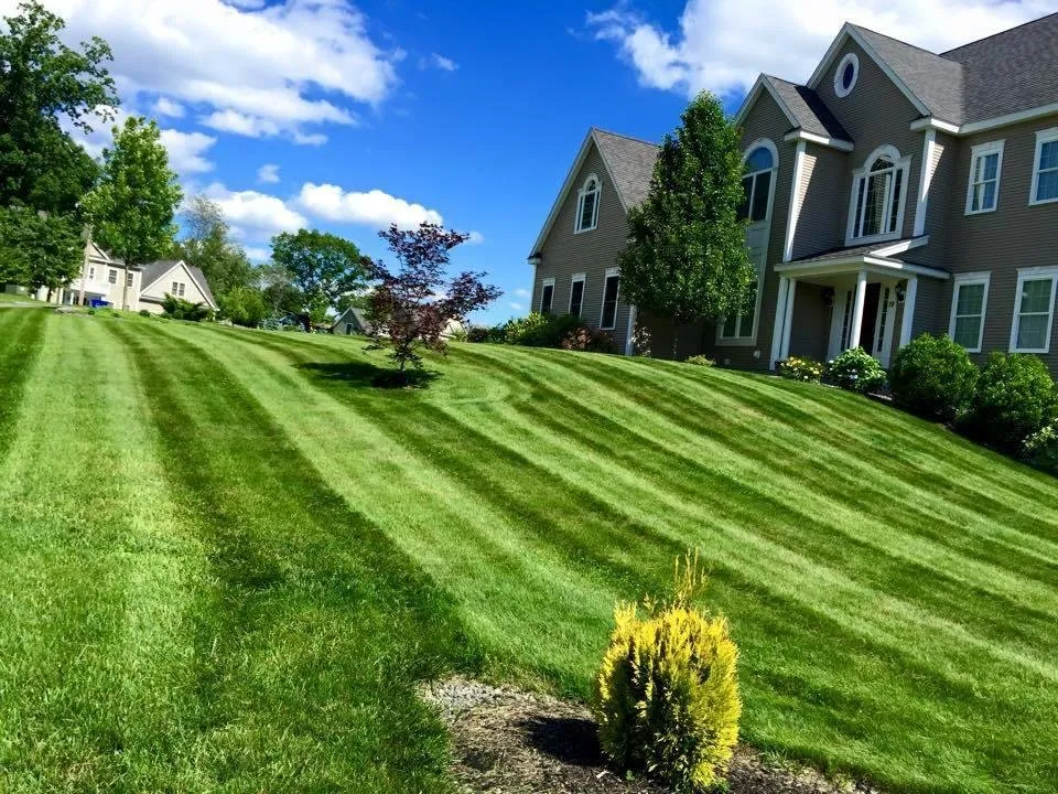 Affordable lawn care service for year-round maintenance in Shrewsbury, MA by Adams Landscapes