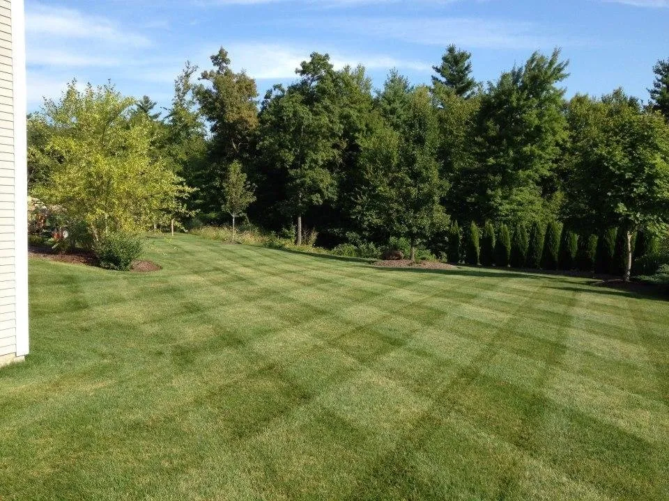Professional lawn care service for year-round maintenance across Shrewsbury, MA - Adams Landscapes