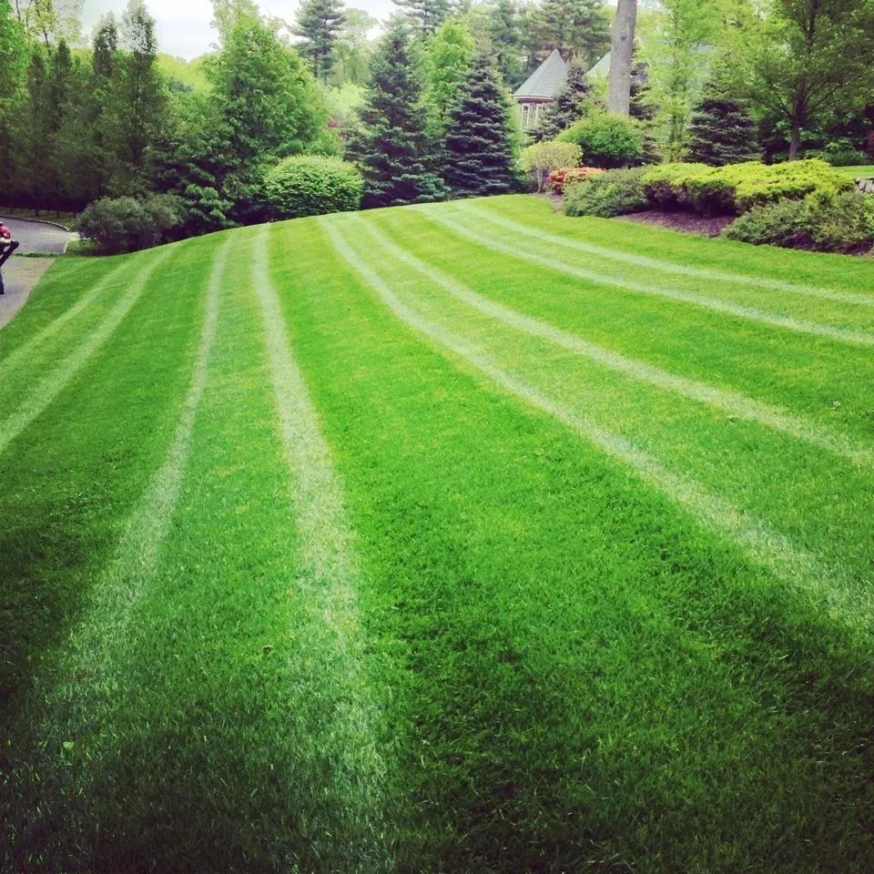 Reliable garden landscaping in Shrewsbury, MA by Adams Landscapes