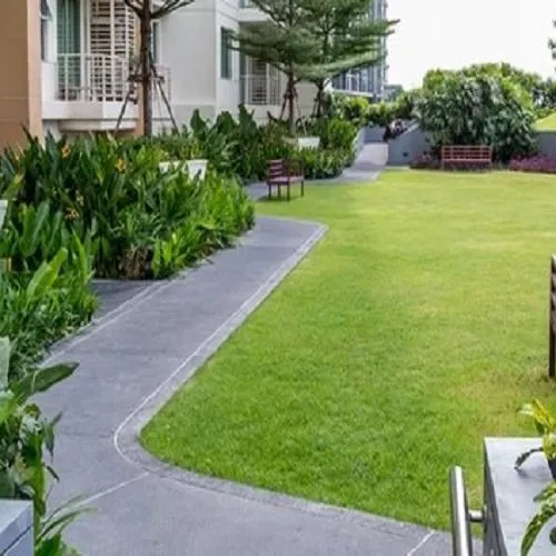 Professional landscape design with custom design in Elizabeth City, NC by Adam's Landscaping & Lawn Care