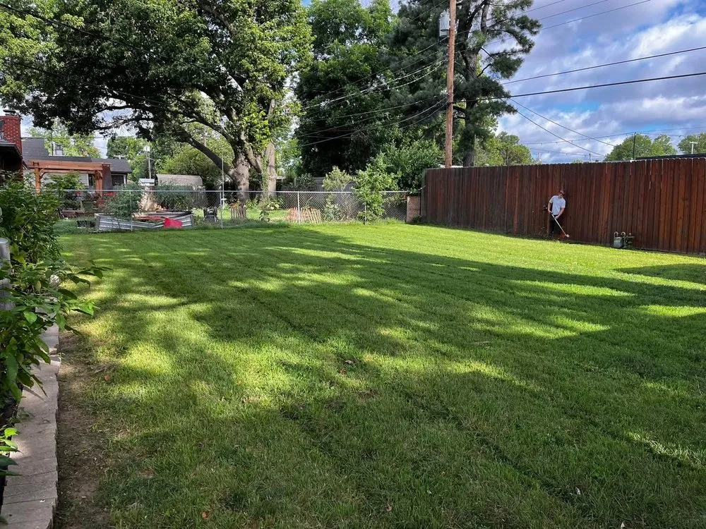 Affordable lawn mowing service in Tulsa, OK by Adams Landscaping and Concrete