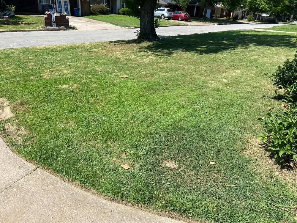 Custom landscape design experts serving Tulsa, OK - Adams Landscaping and Concrete