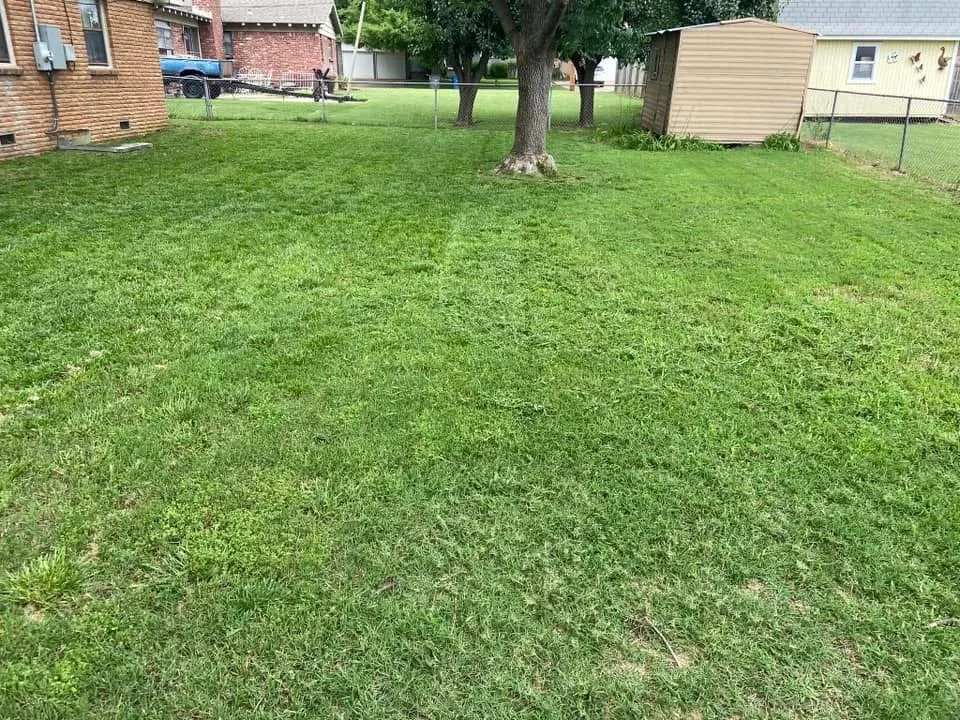 Affordable yard maintenance for year-round maintenance across Tulsa, OK - Adams Landscaping and Concrete