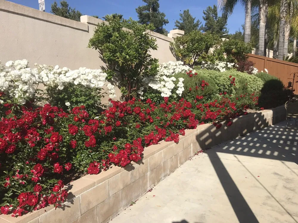 Trusted outdoor landscaping near you across Murrieta, CA - Adams Landscaping