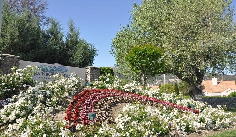 Custom outdoor landscaping in Murrieta, CA - Adams Landscaping