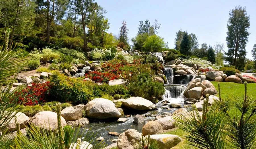 Reliable yard maintenance in Murrieta, CA by Adams Landscaping