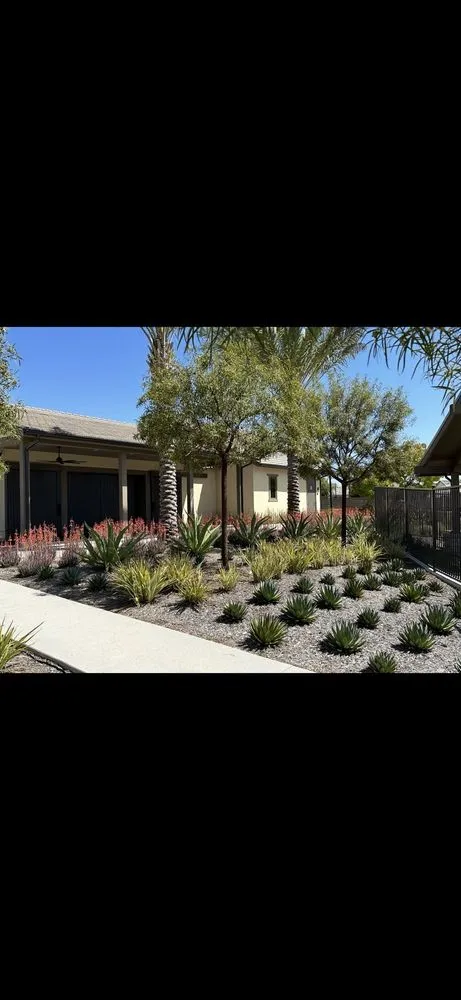 Affordable outdoor landscaping with custom design in Murrieta, CA by Adams Landscaping