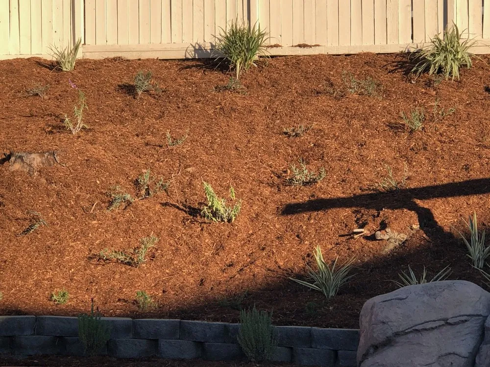 Top-rated landscape design in Murrieta, CA - Adams Landscaping