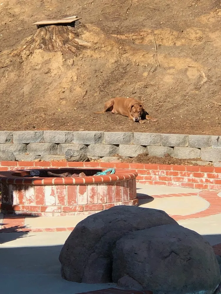 Top-rated lawn mowing service in Murrieta, CA - Adams Landscaping