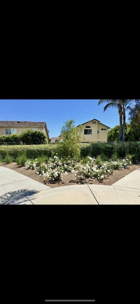 Top-rated lawn mowing service in Murrieta, CA by Adams Landscaping