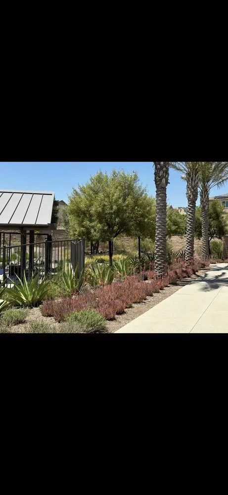 Affordable lawn mowing service for year-round maintenance across Murrieta, CA - Adams Landscaping