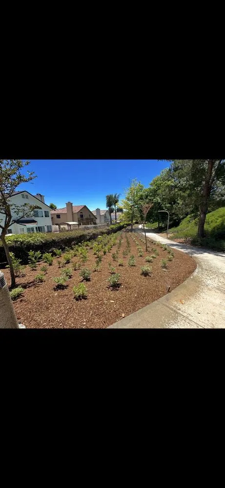 Reliable lawn mowing service for year-round maintenance in Murrieta, CA by Adams Landscaping