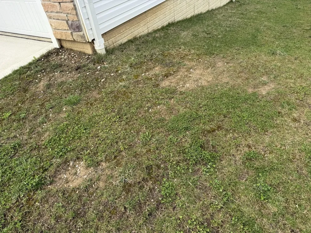 Local outdoor landscaping for beautiful yards in Massillon, OH by Adams Lawn & Landscape