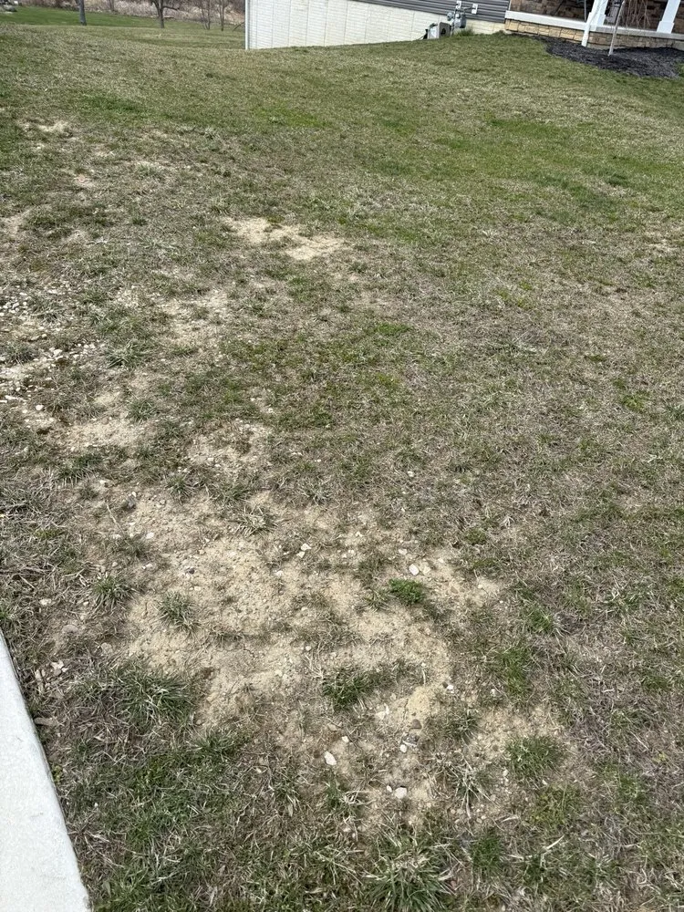 Reliable residential landscaping in Massillon, OH - Adams Lawn & Landscape