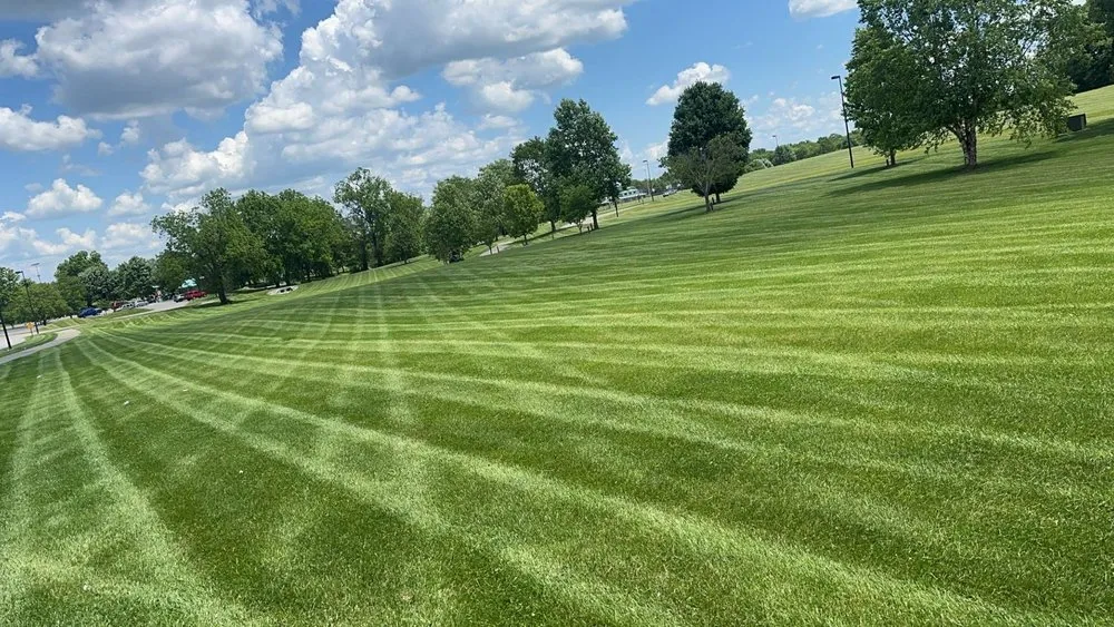 Affordable landscaping services experts serving Lancaster, KY - Adams Lawn And Landscape