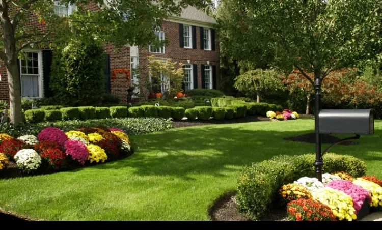 Expert landscape design in Shawnee, OK - Adam's Lawn Care & Pest Control