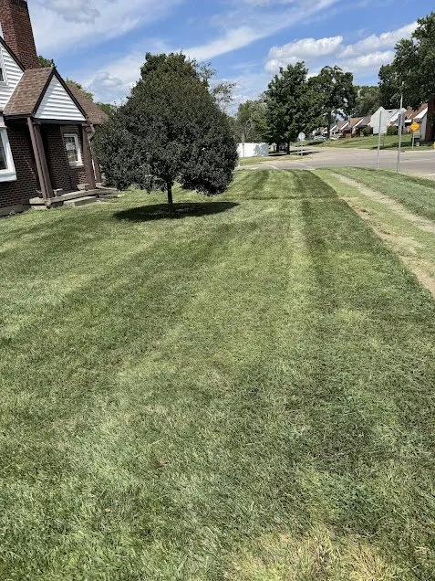 Expert lawn care service for residential properties across Cincinnati, OH - Adam’s Lawn Care and Landscaping