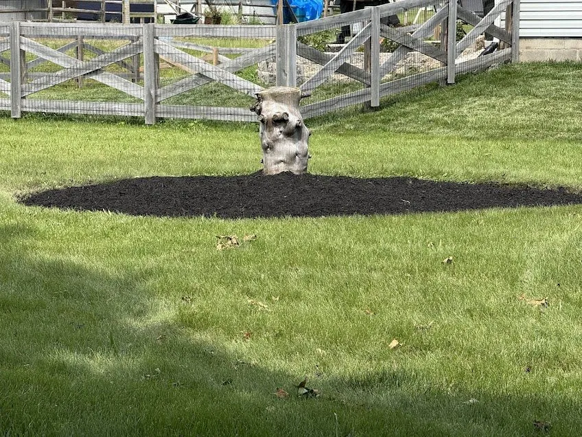 Top-rated landscape design for outdoor upgrades in Cincinnati, OH by Adam’s Lawn Care and Landscaping