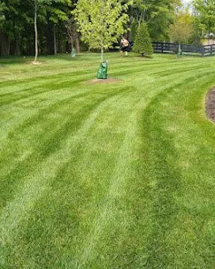 Reliable lawn mowing service for residential properties across Cincinnati, OH - Adam’s Lawn Care and Landscaping
