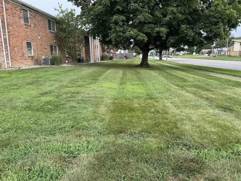 Expert residential landscaping near you across Cincinnati, OH - Adam’s Lawn Care and Landscaping