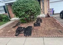 Custom lawn mowing service in Cincinnati, OH by Adam’s Lawn Care and Landscaping