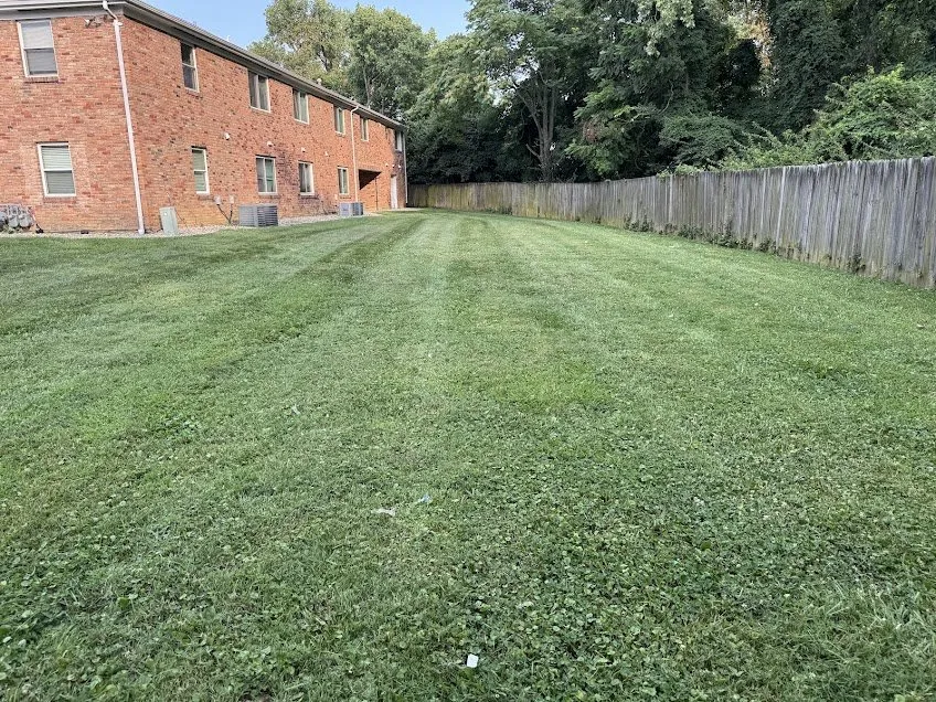 Local landscaping services for year-round maintenance across Cincinnati, OH - Adam’s Lawn Care and Landscaping