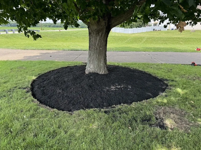 Top-rated residential landscaping with custom design in Cincinnati, OH by Adam’s Lawn Care and Landscaping