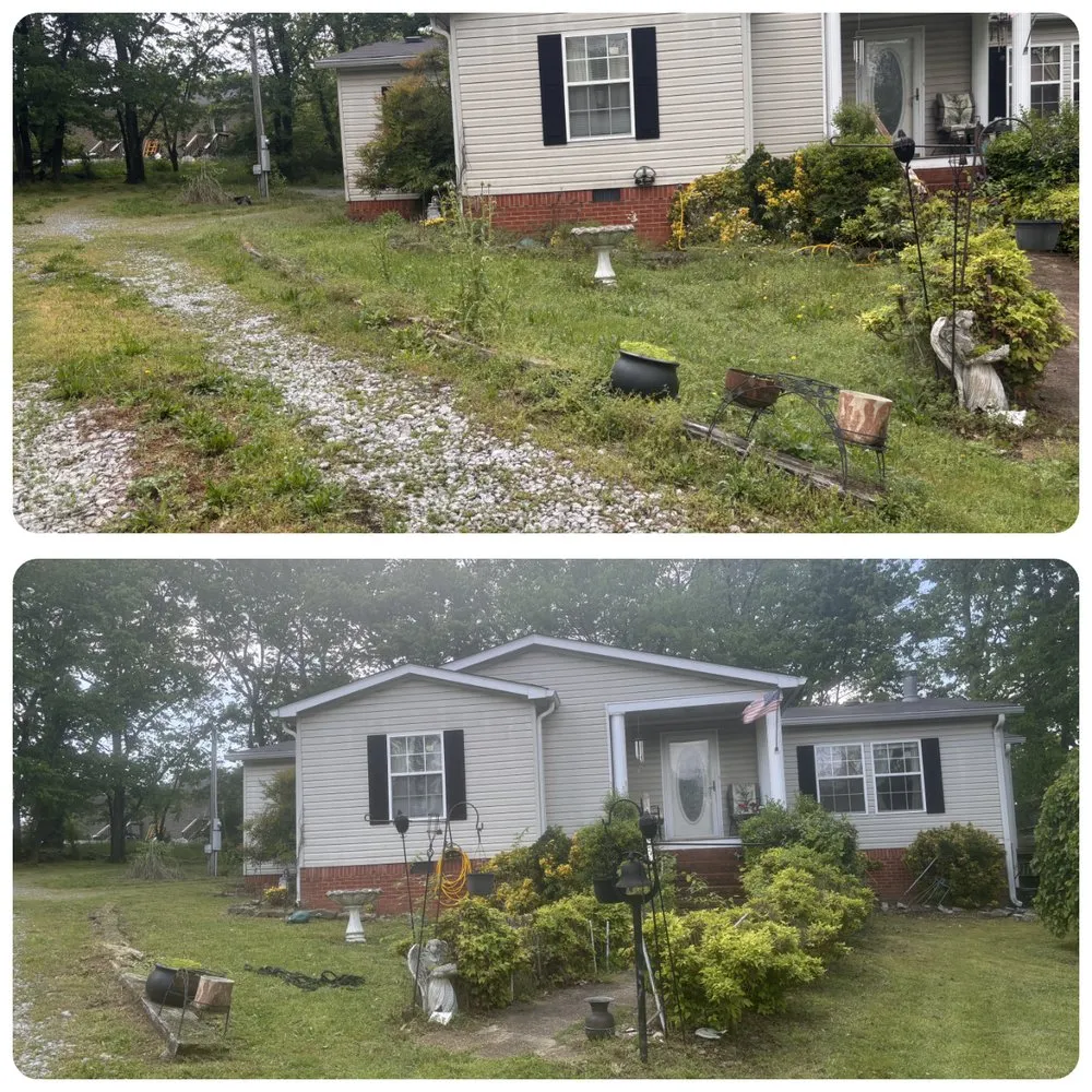 Top-rated landscaping services for beautiful yards across Lewisburg, TN - Adams Lawn Care