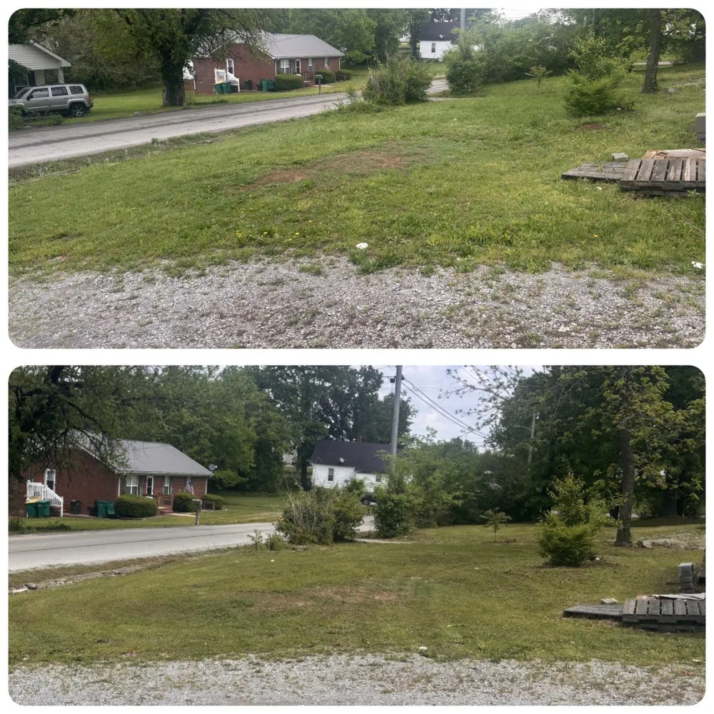 Expert yard maintenance experts serving Lewisburg, TN - Adams Lawn Care