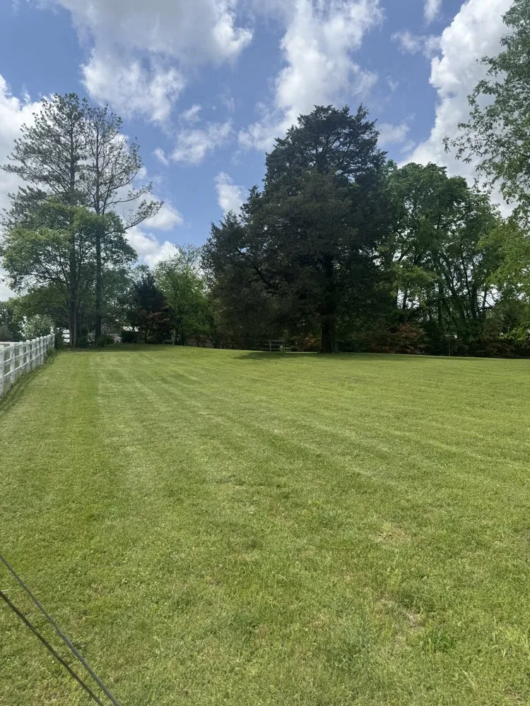 Affordable lawn mowing service for beautiful yards across Lewisburg, TN - Adams Lawn Care
