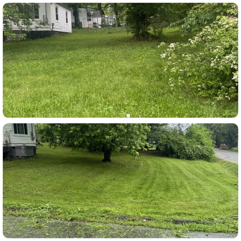 Expert landscape design for beautiful yards across Lewisburg, TN - Adams Lawn Care