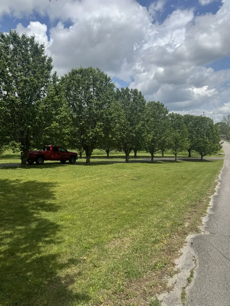 Expert residential landscaping with custom design in Lewisburg, TN by Adams Lawn Care