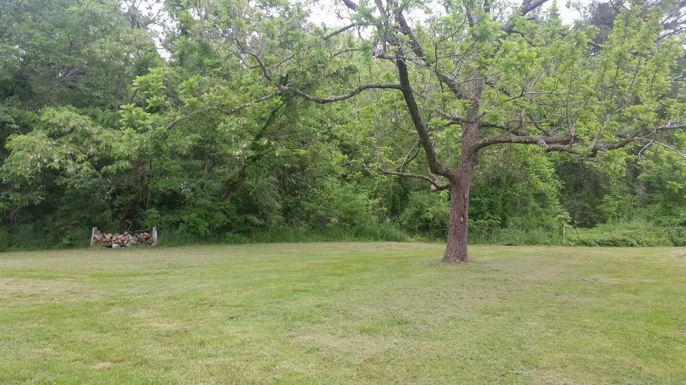 Trusted landscape installation in Lexington Park, MD - Adams Lawn Care