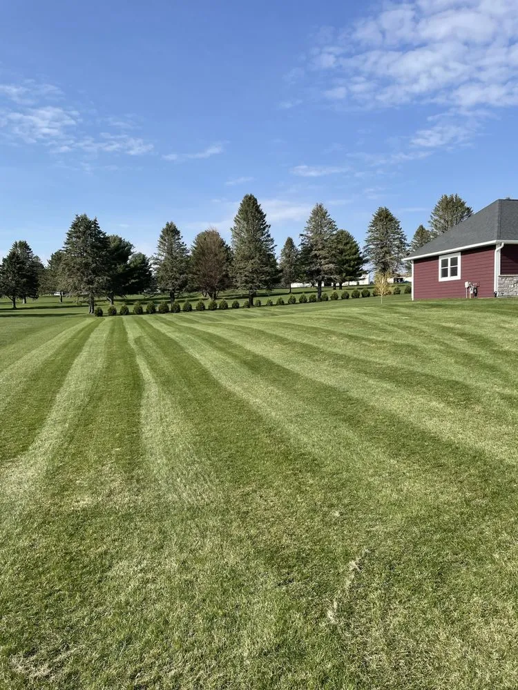 Professional yard maintenance in Plainview, MN by Adam’s Lawn Care Service