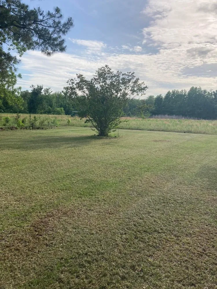 Affordable outdoor landscaping in Seven Springs, NC by Adams Lawn Care