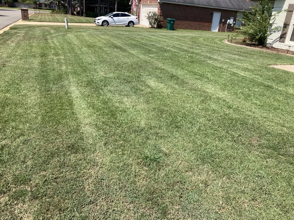 Reliable yard cleanup service near you across Tuscaloosa, AL - Adam’s Lawn Care