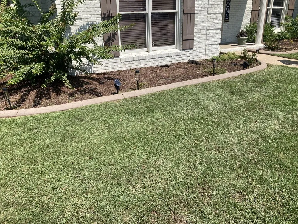 Top-rated residential landscaping experts serving Tuscaloosa, AL - Adam’s Lawn Care