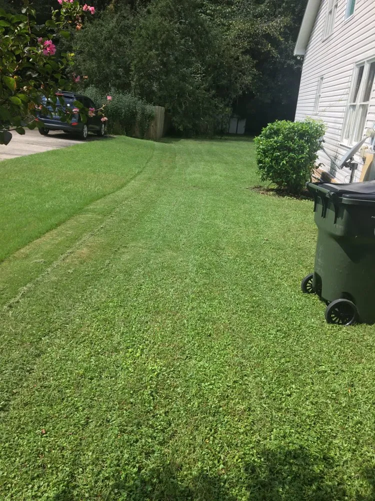 Expert outdoor landscaping for year-round maintenance in Tuscaloosa, AL by Adam’s Lawn Care