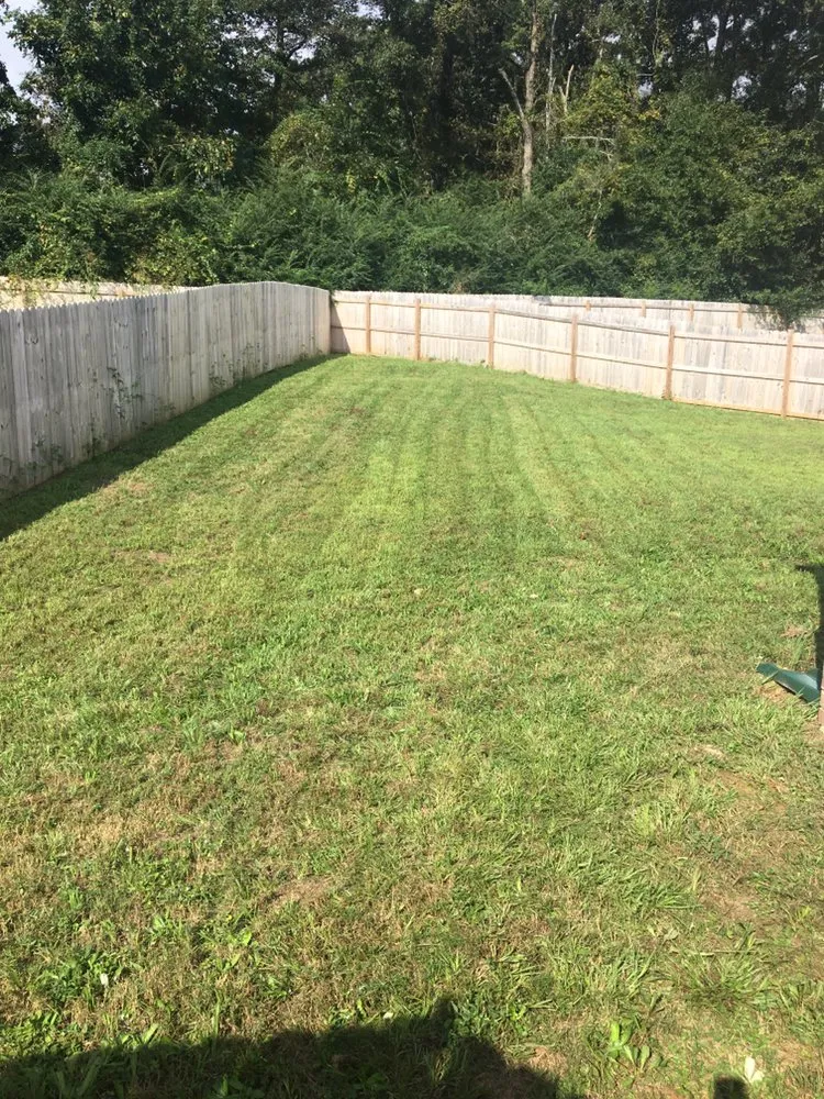 Reliable landscape installation with custom design in Tuscaloosa, AL by Adam’s Lawn Care