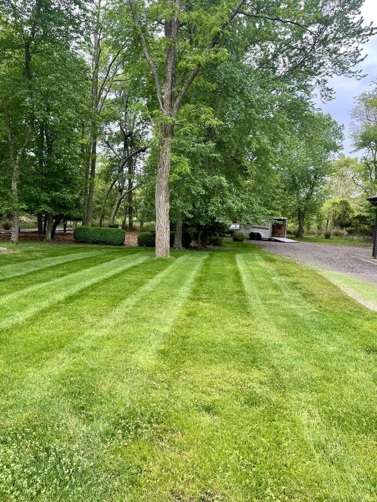 Top-rated lawn mowing service for beautiful yards in Stafford Township, NJ by Adams Lawn Enforcement