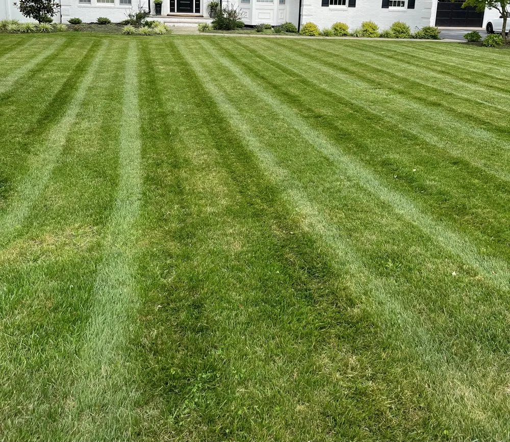 Affordable residential landscaping in Stafford Township, NJ - Adams Lawn Enforcement