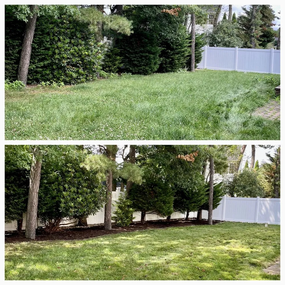 Expert yard cleanup service in Stafford Township, NJ - Adams Lawn Enforcement