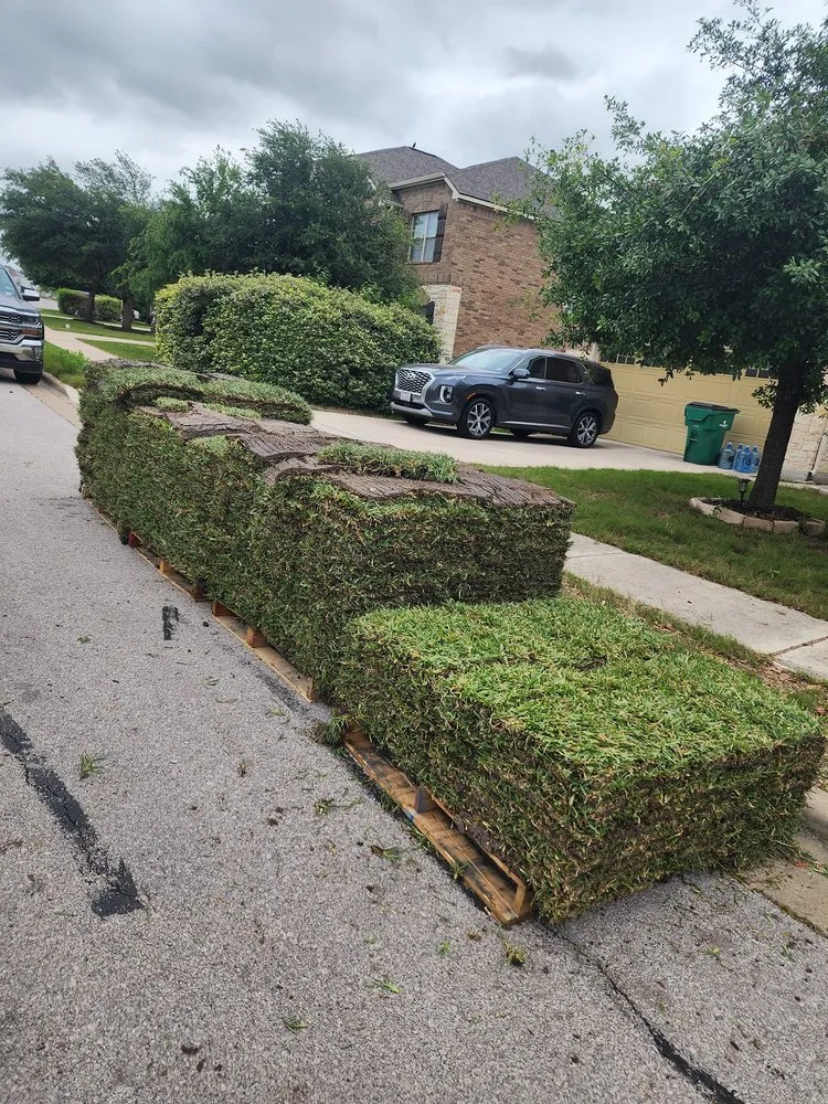 Custom yard cleanup service in Austin, TX by Adam's Lawn Service Austin