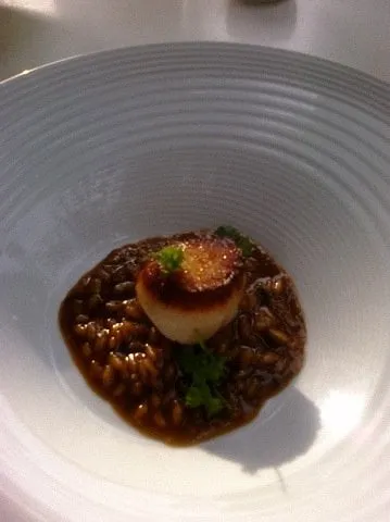 Custom landscape design with custom design across Austin, TX - Adam's Lawn Service Austin