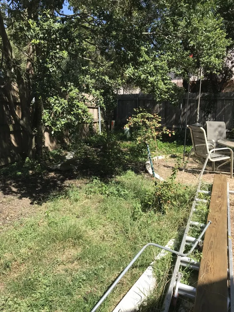 Expert outdoor landscaping in Austin, TX - Adam's Lawn Service Austin